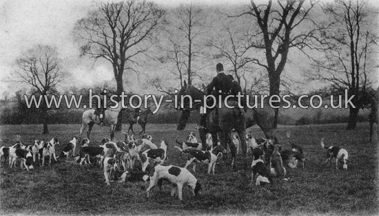 Essex Hounds on a Hunt. c.1912